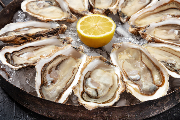 Oysters close-up. A dozen of raw oysters on a platter, with lemon